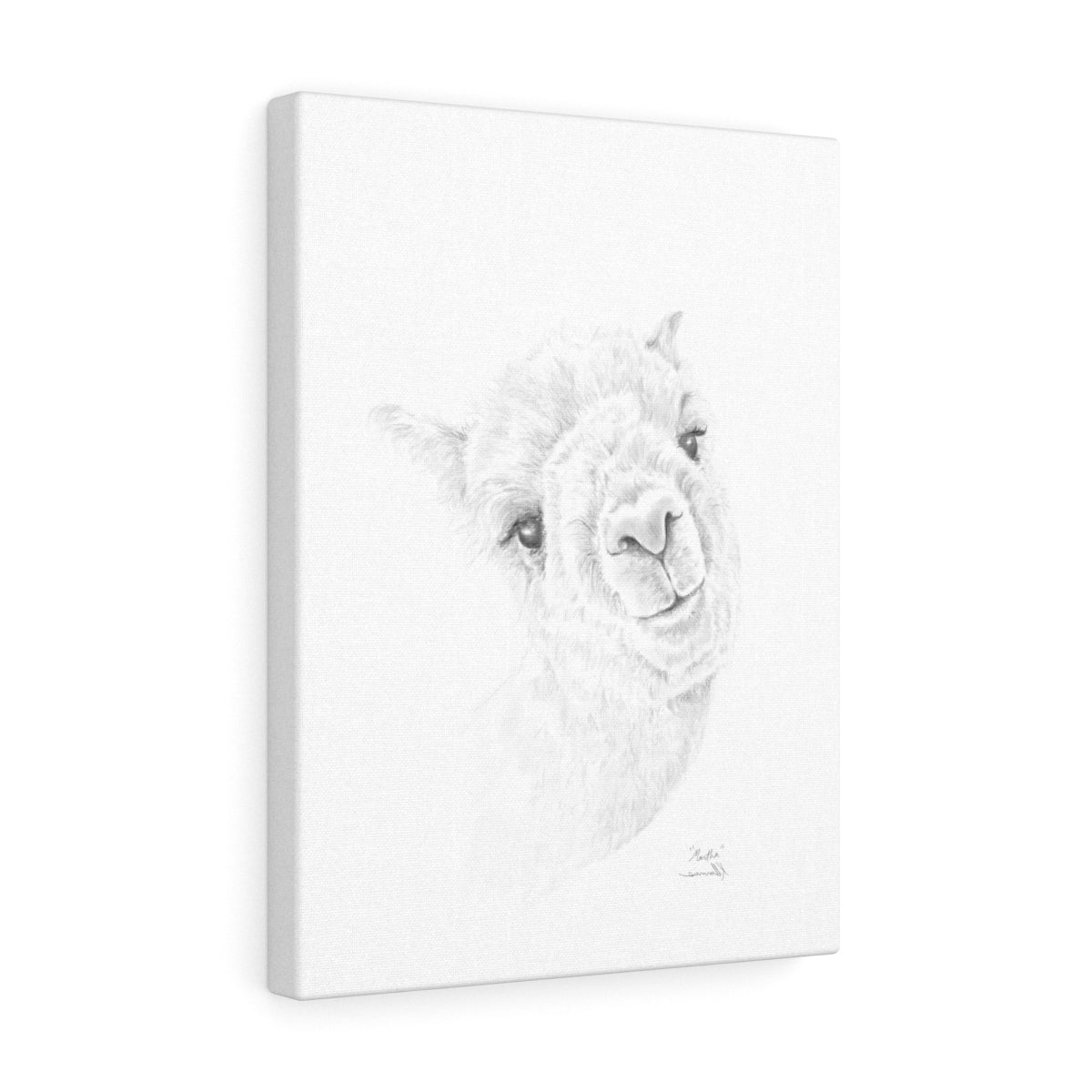 MARTHA Llama - Art Canvas