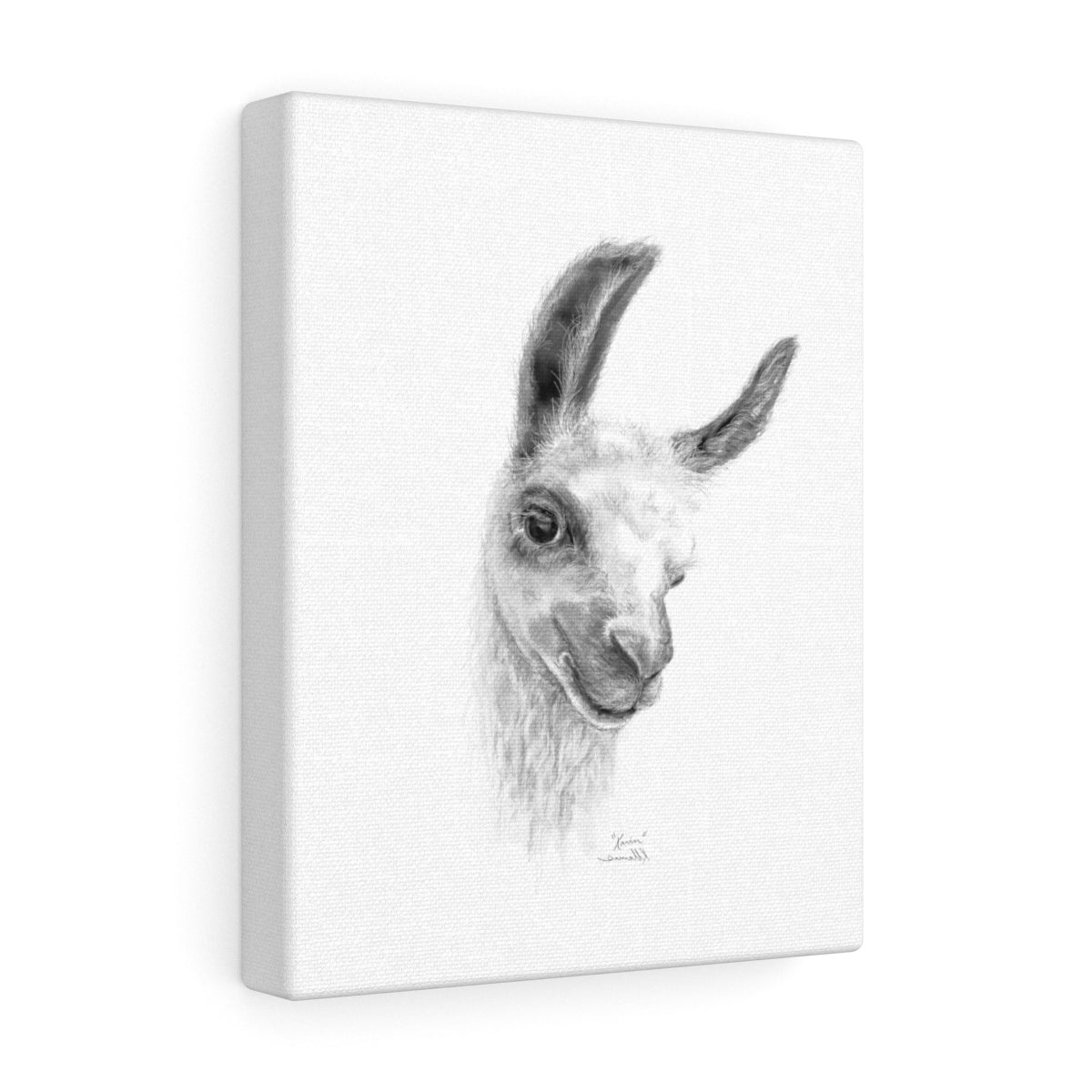 KARIN Llama - Art Canvas