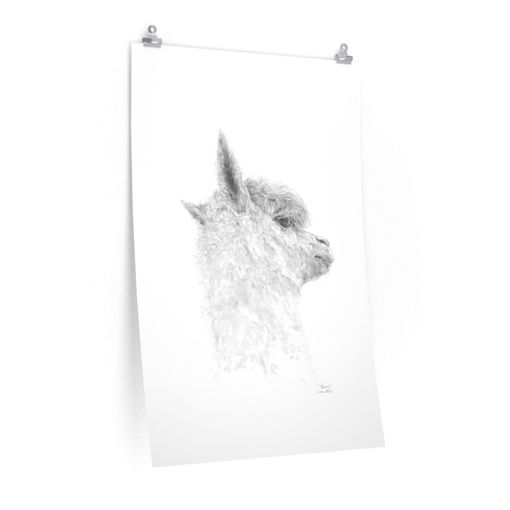 NAOMI Llama- Art Paper Print