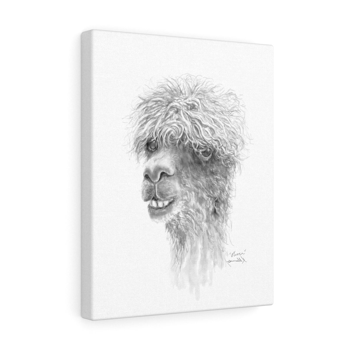 OLIVER Llama - Art Canvas