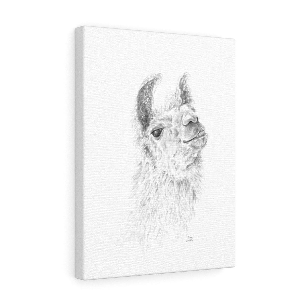RODNEY Llama - Art Canvas