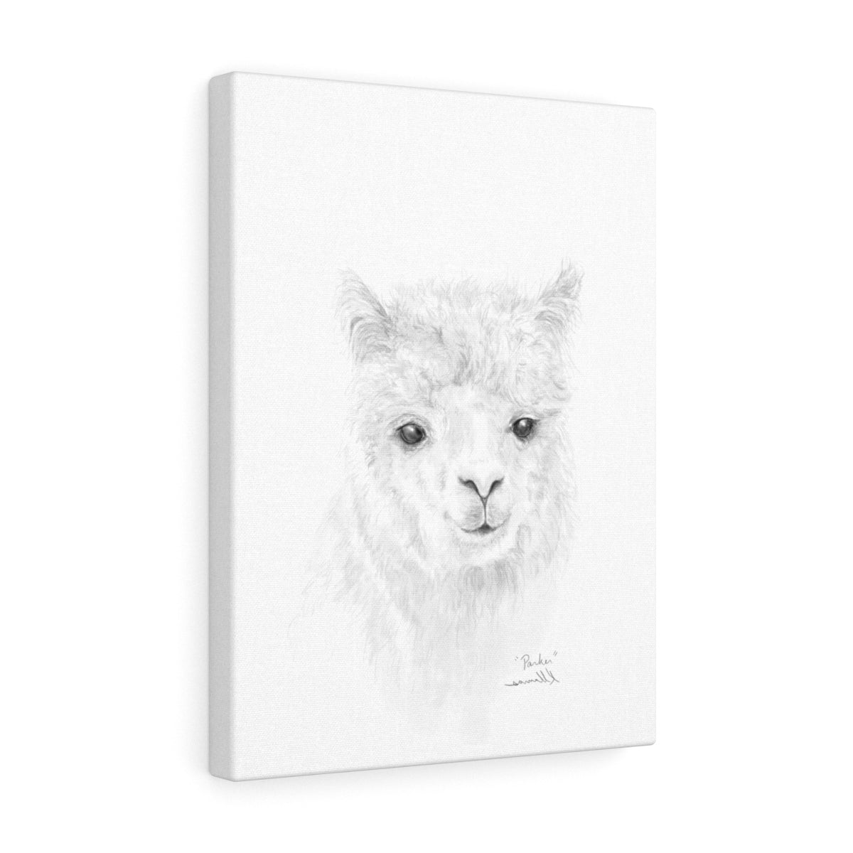 PARKER Llama - Art Canvas