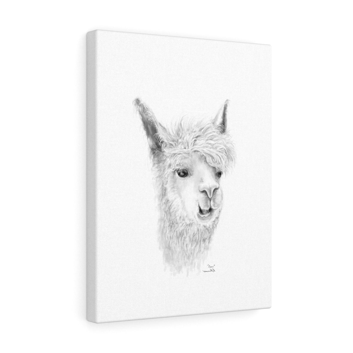 OMAR Llama - Art Canvas