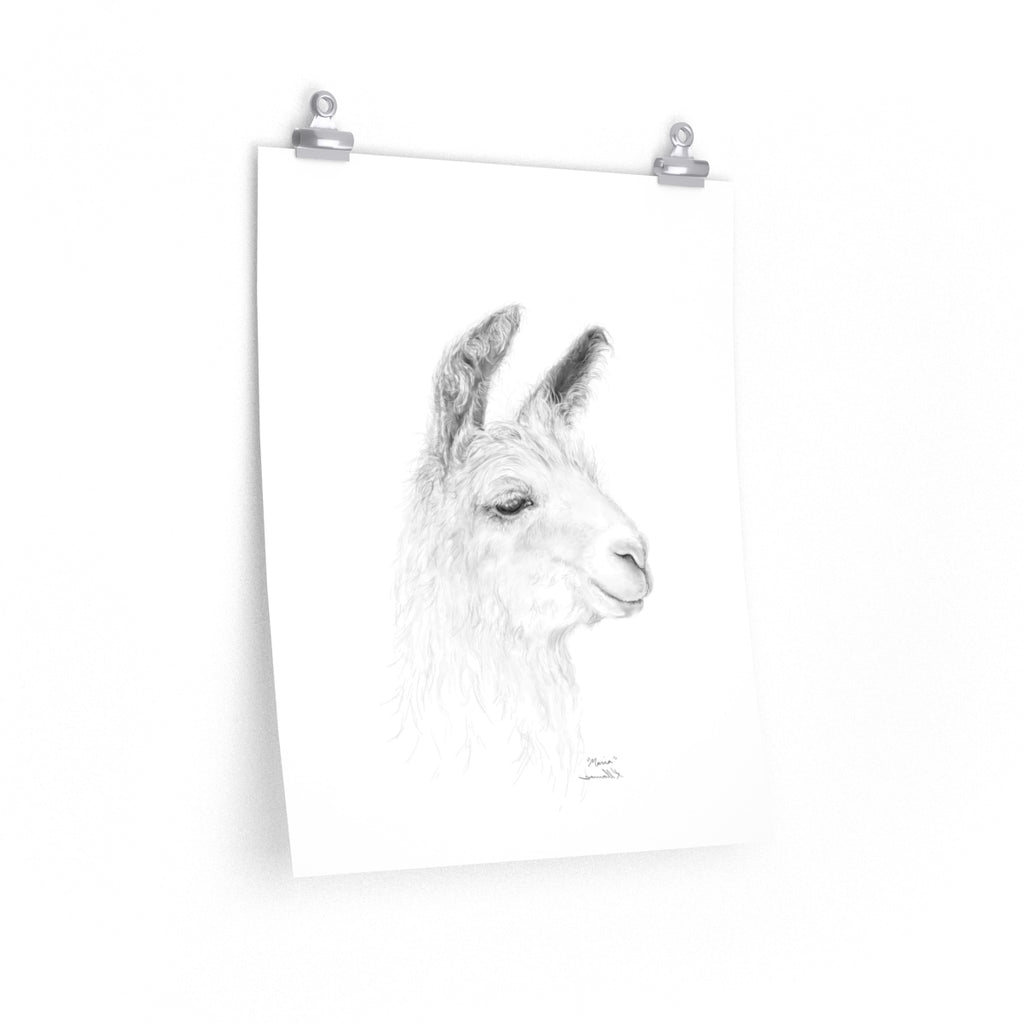 MARIA Llama- Art Paper Print