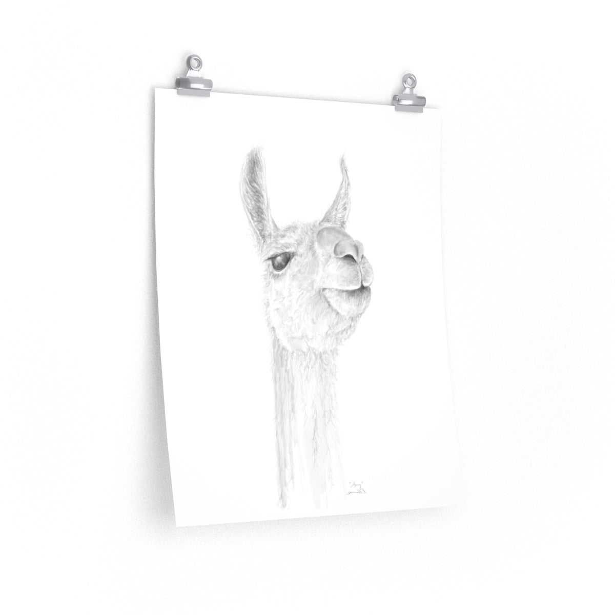 AMY Llama- Art Paper Print