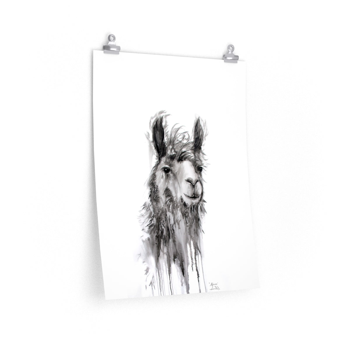 ALFONSO Llama- Art Paper Print