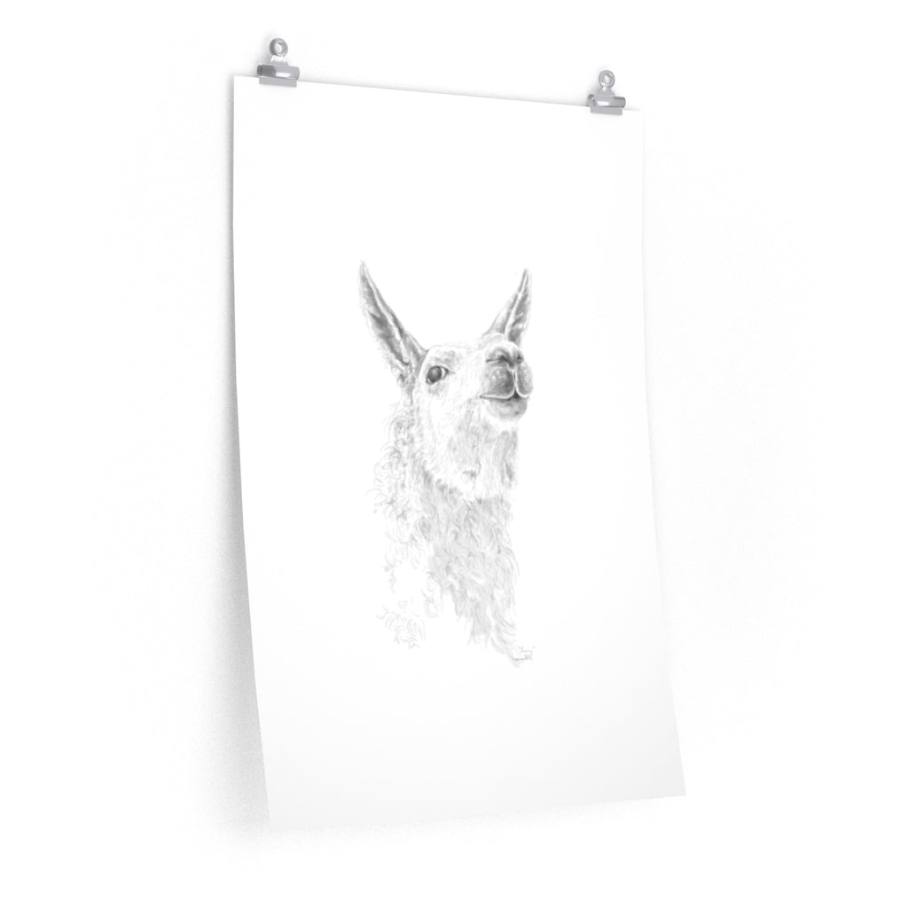 LARRY Llama- Art Paper Print