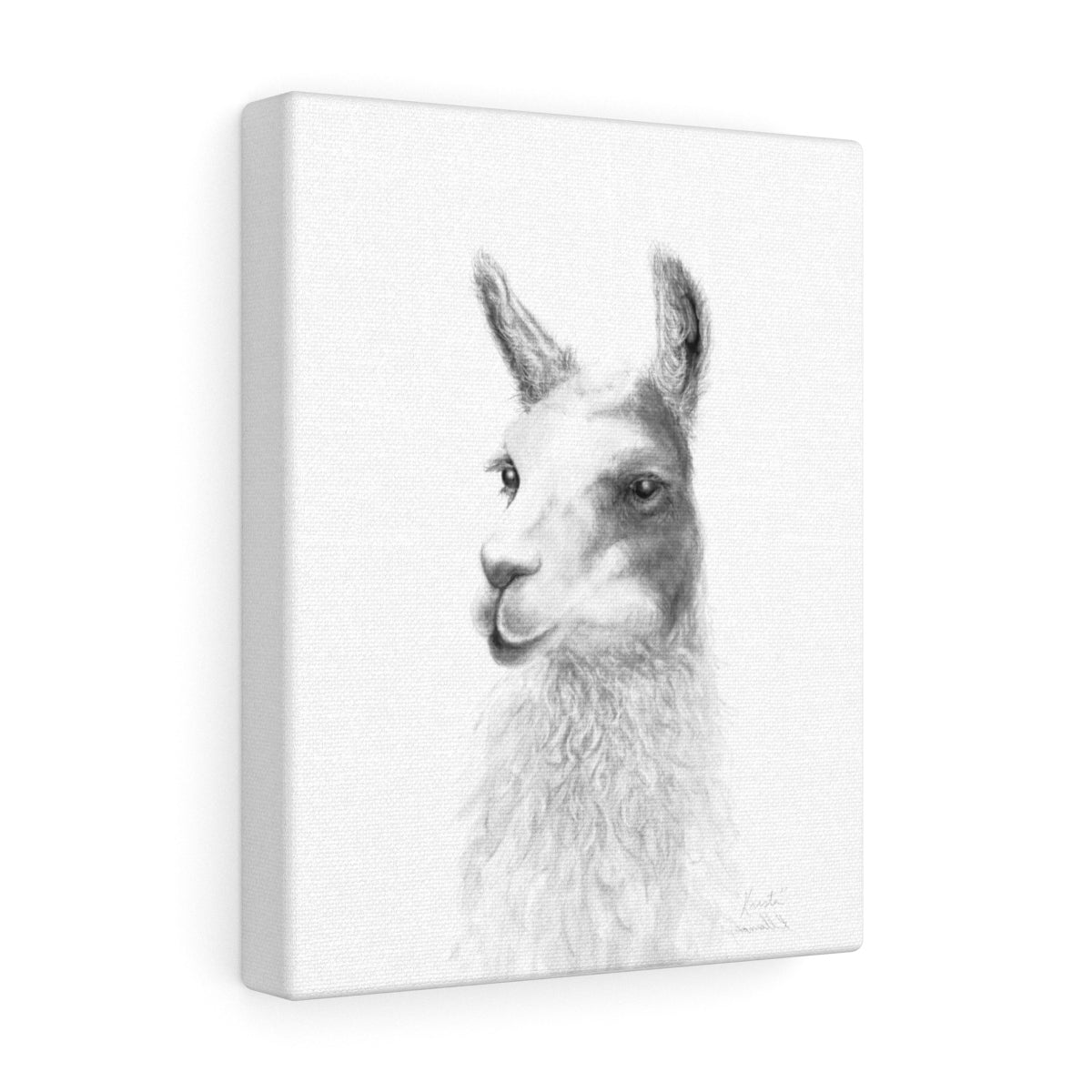KRISTA Llama - Art Canvas