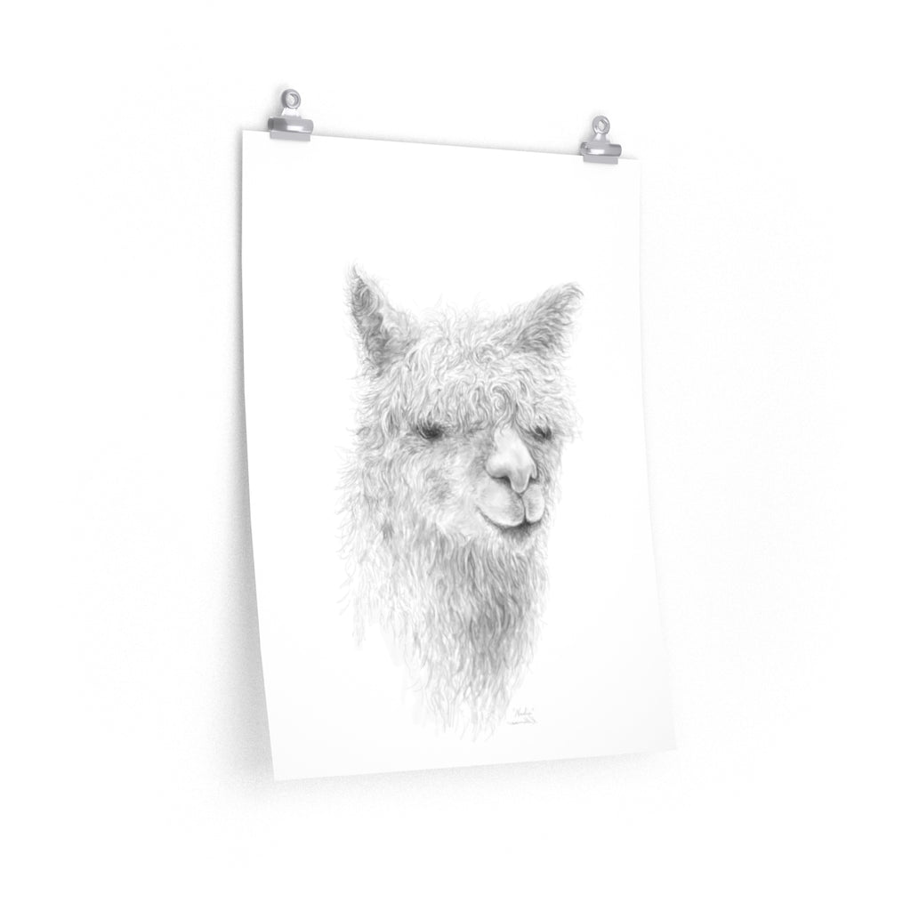 NADIA Llama- Art Paper Print
