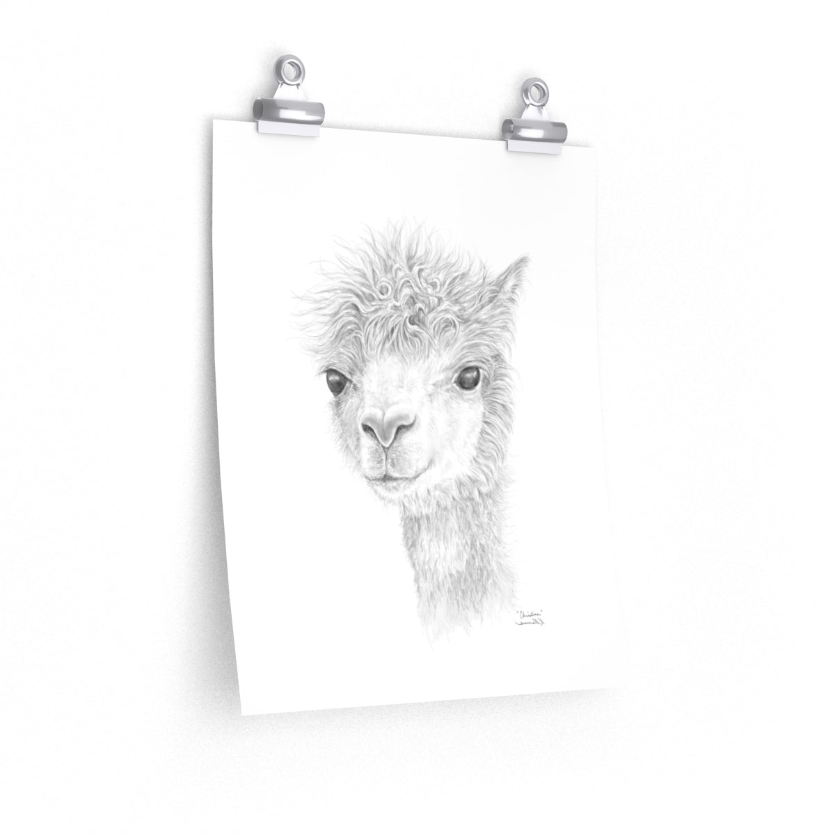 CHRISTINE Llama- Art Paper Print