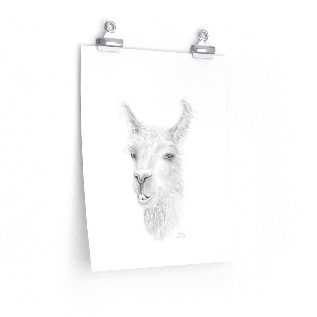 SHAUN Llama- Art Paper Print