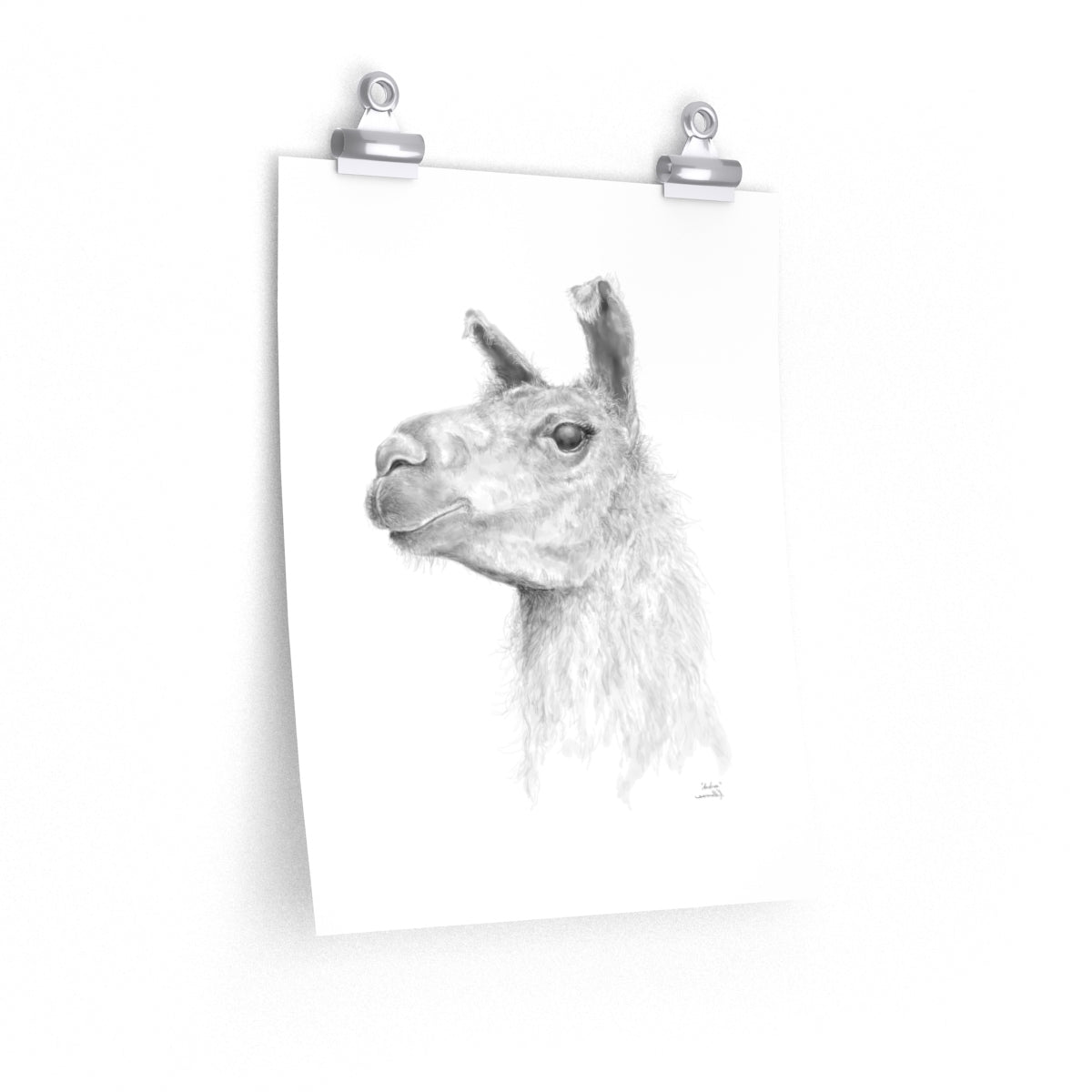 ANDREA Llama- Art Paper Print