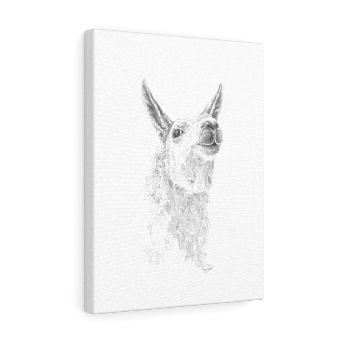 LARRY Llama - Art Canvas