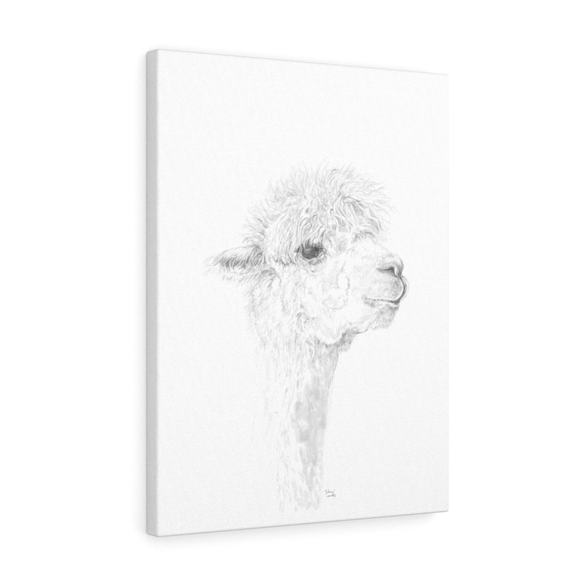 JULIANA Llama - Art Canvas