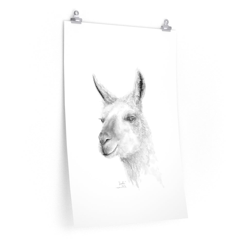 INDI Llama- Art Paper Print