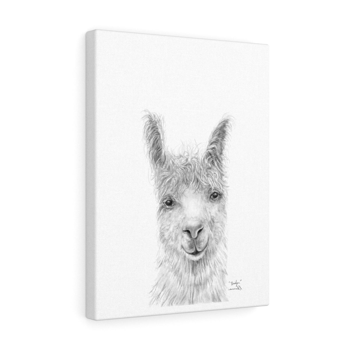 BRIDGER Llama - Art Canvas