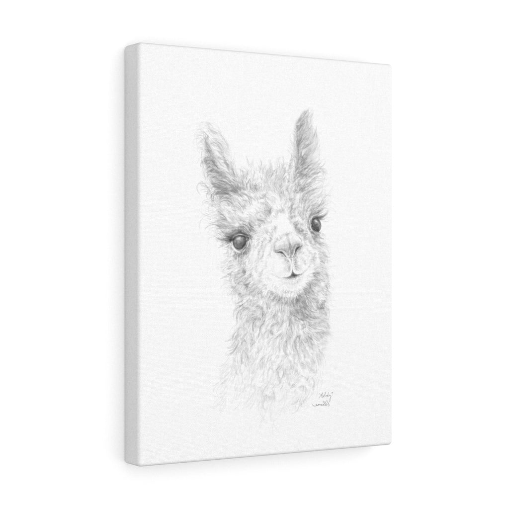 MELODY Llama - Art Canvas