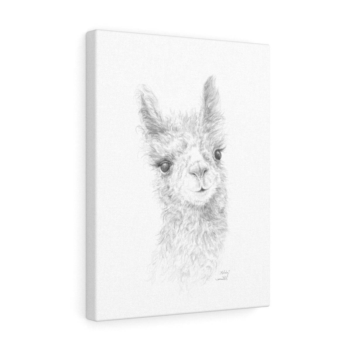 MELODY Llama - Art Canvas