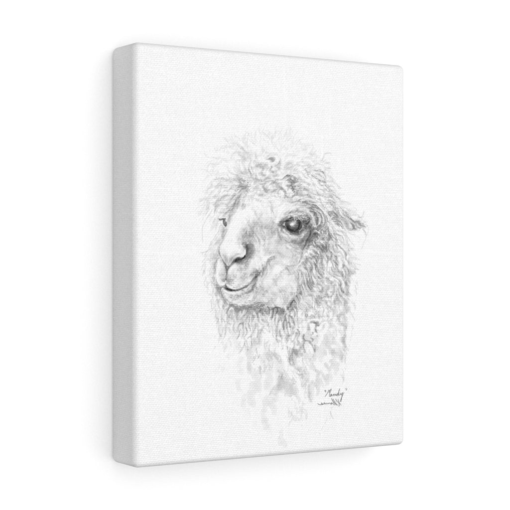 Mandy Llama - Art Canvas