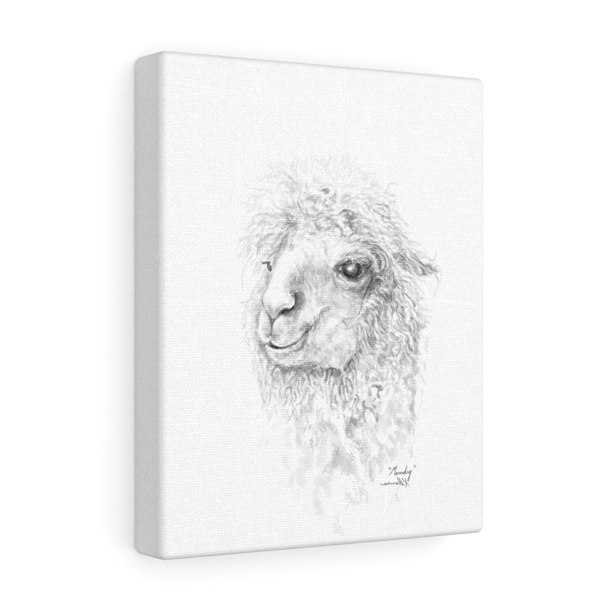 Mandy Llama - Art Canvas