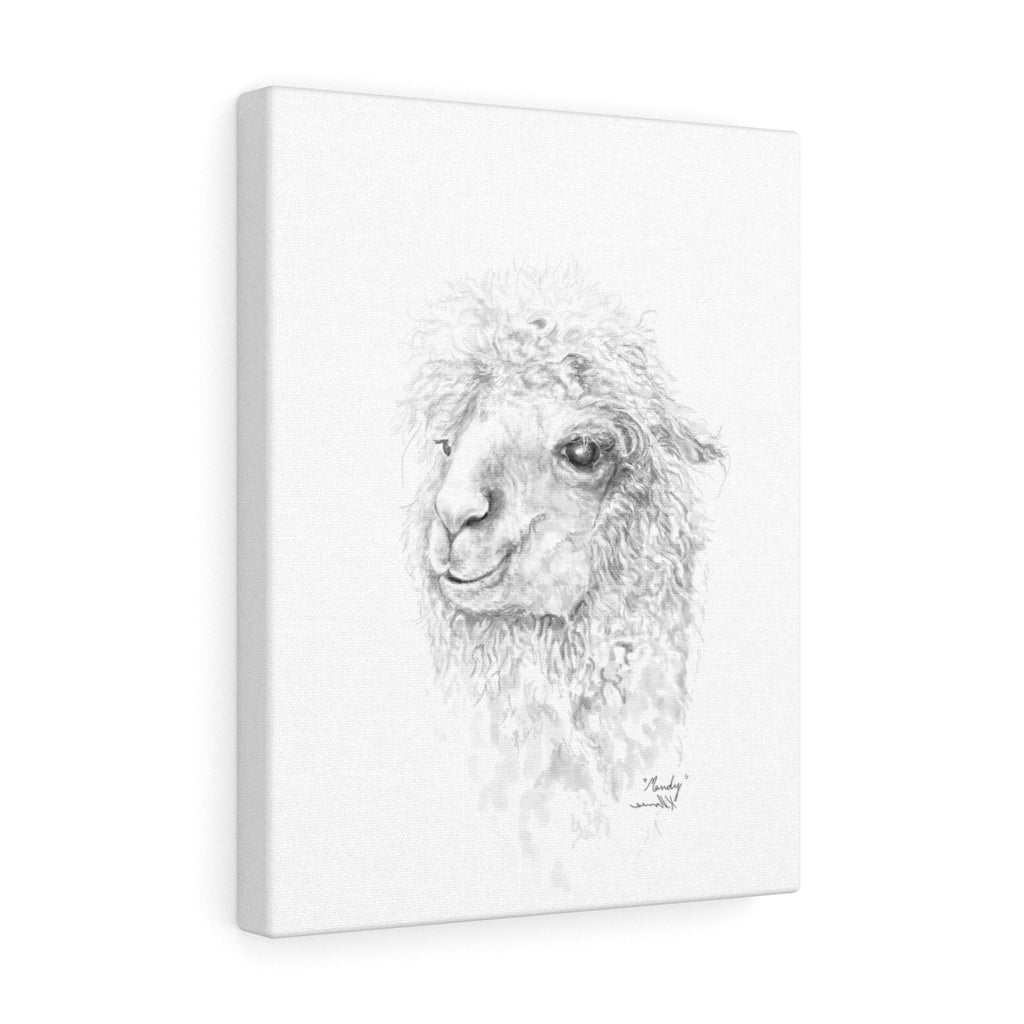 Mandy Llama - Art Canvas