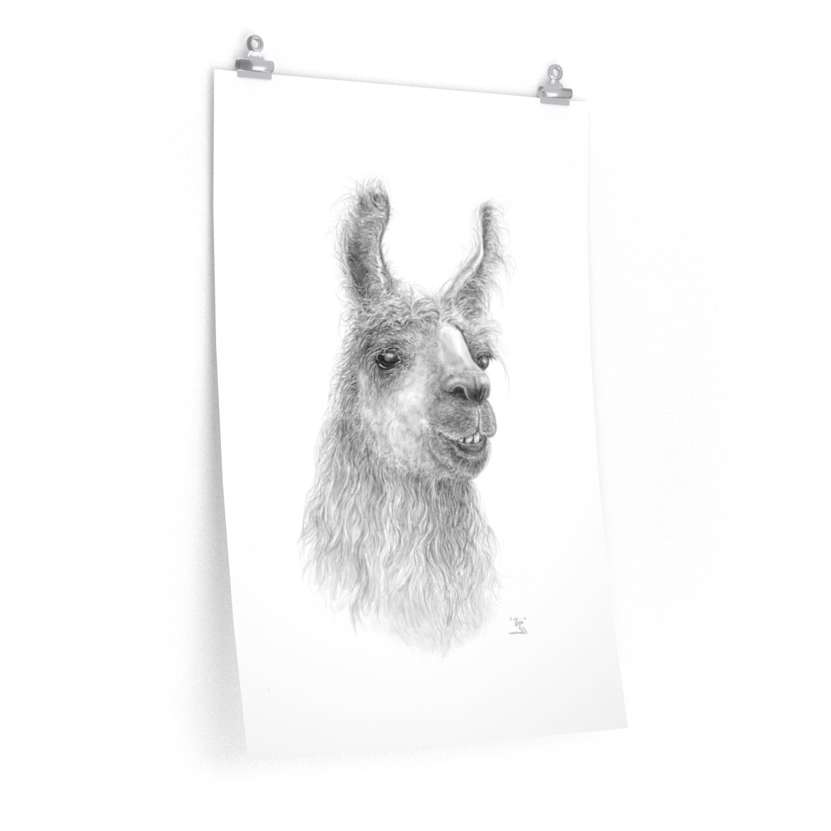 Copy of BILLIE-JO Llama- Art Paper Print