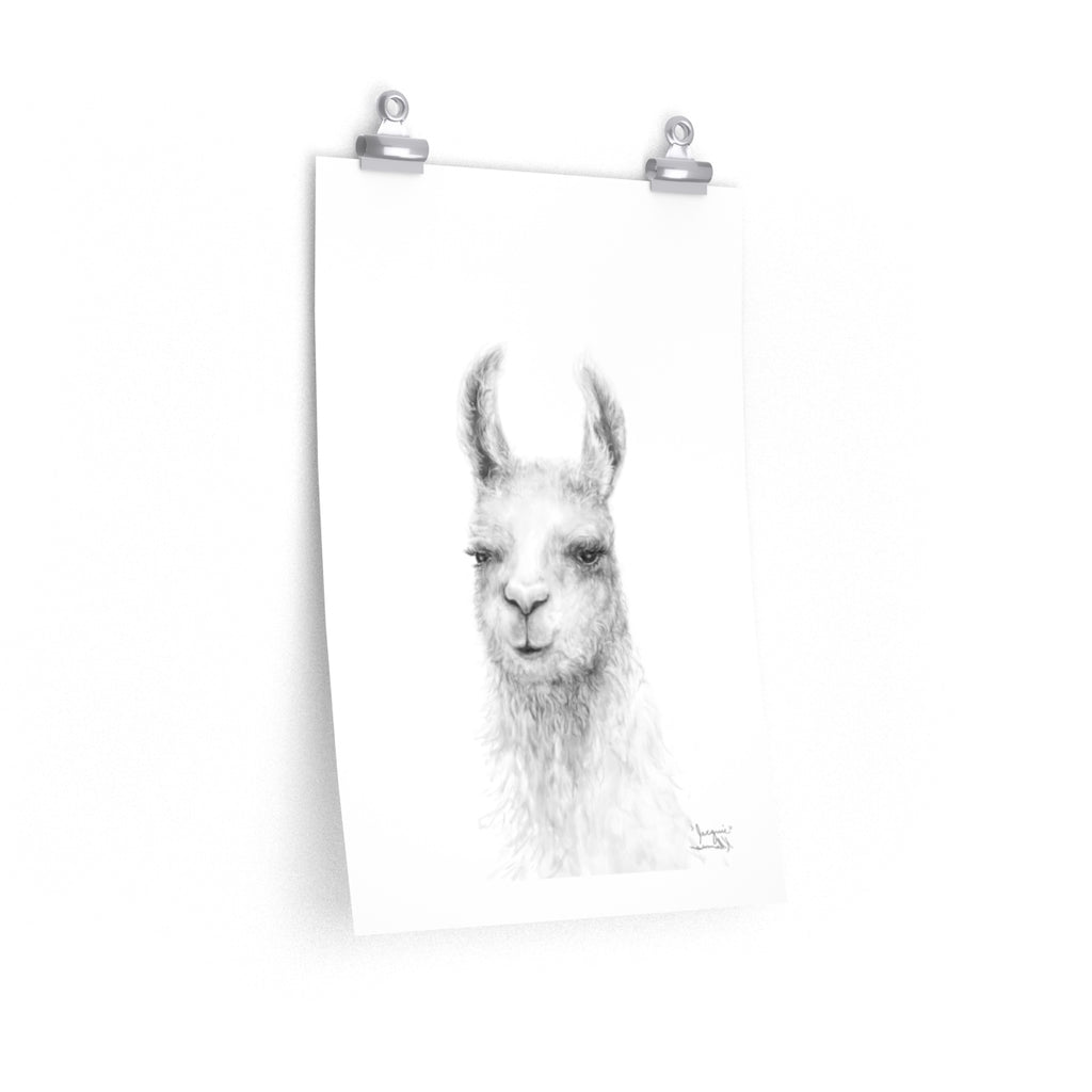 JACQUIE Llama- Art Paper Print