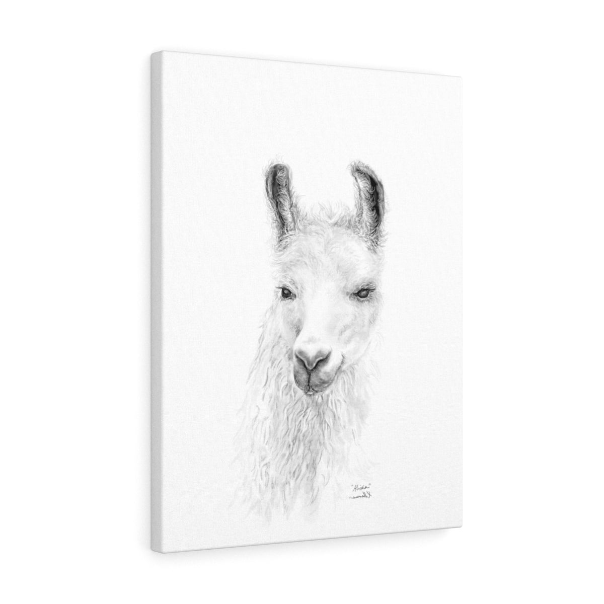 ALISHA Llama - Art Canvas