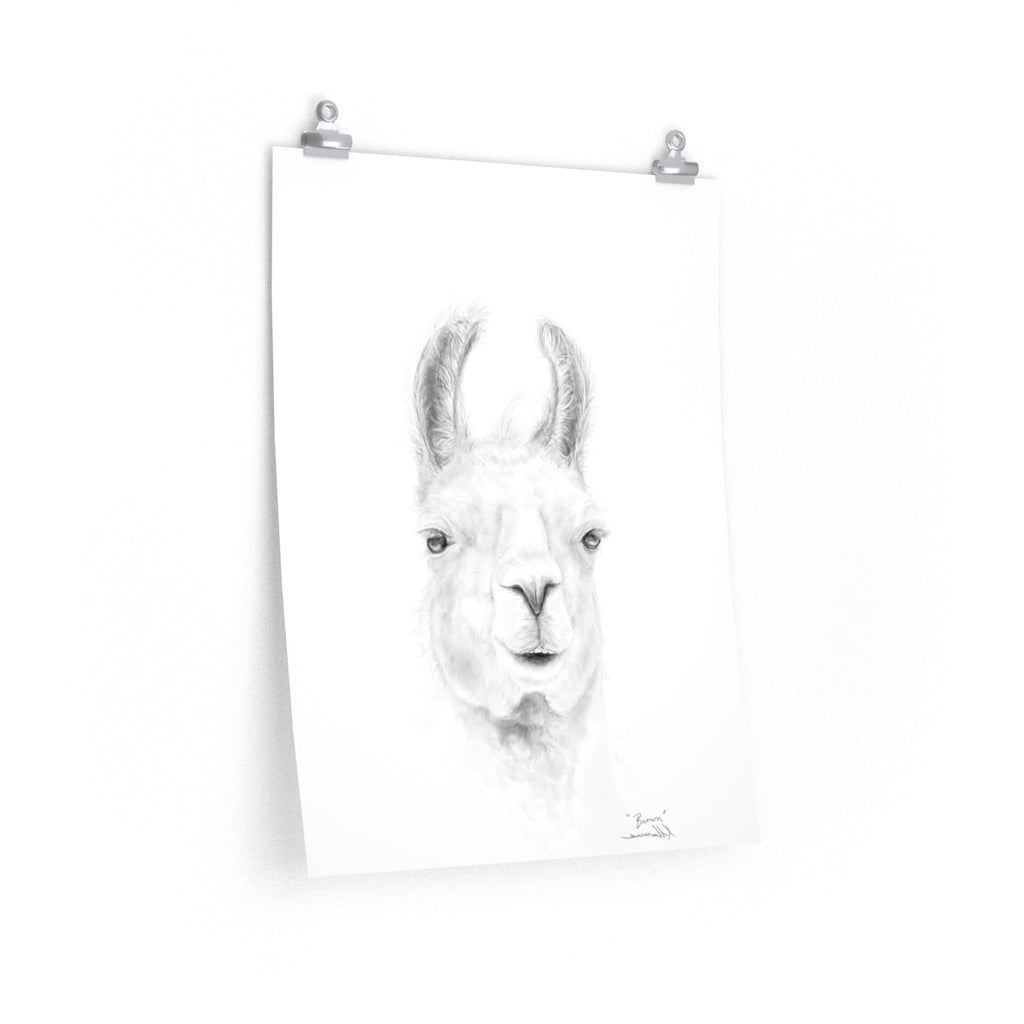 BROWN Llama- Art Paper Print
