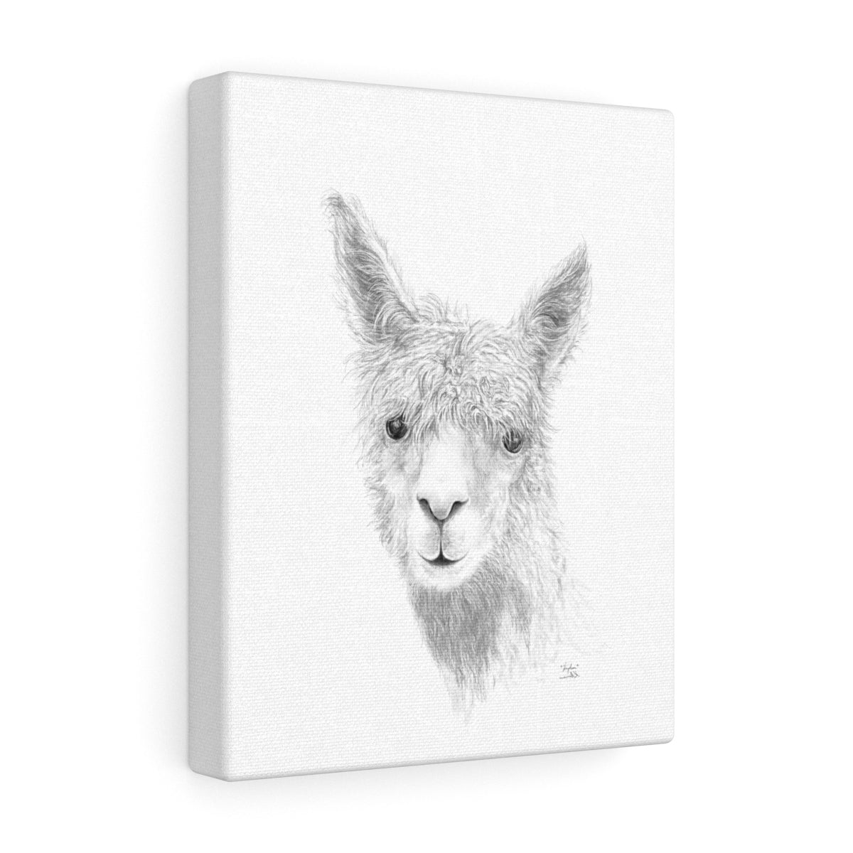HAYDEN Llama - Art Canvas