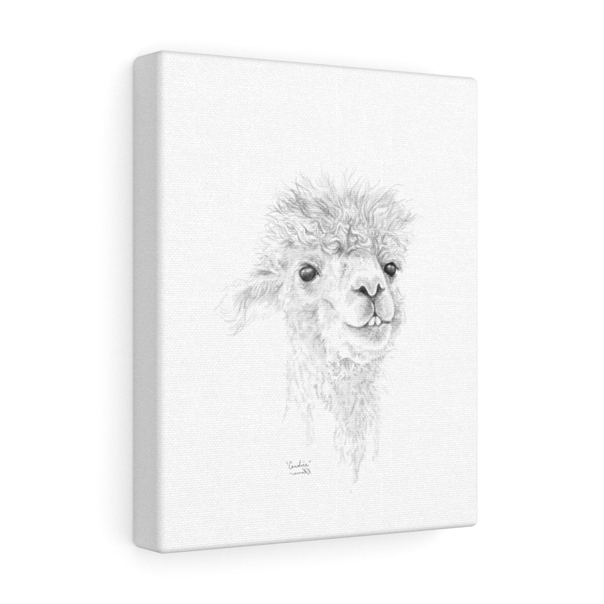 CANDICE Llama - Art Canvas