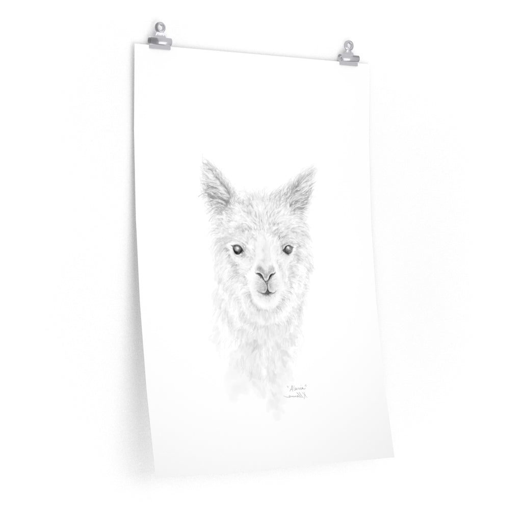 ALARIA Llama- Art Paper Print