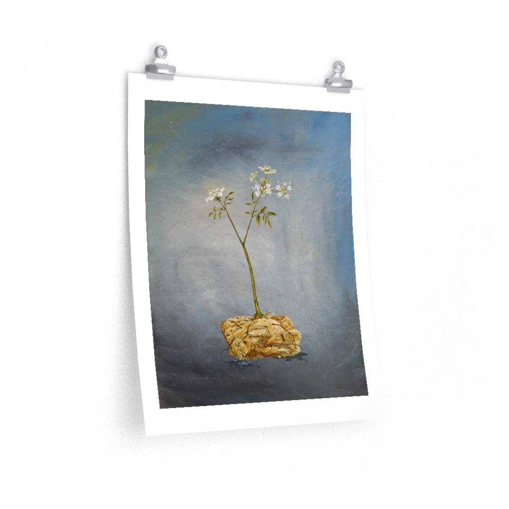 Socrates - K. Llamas Wall Art Print
