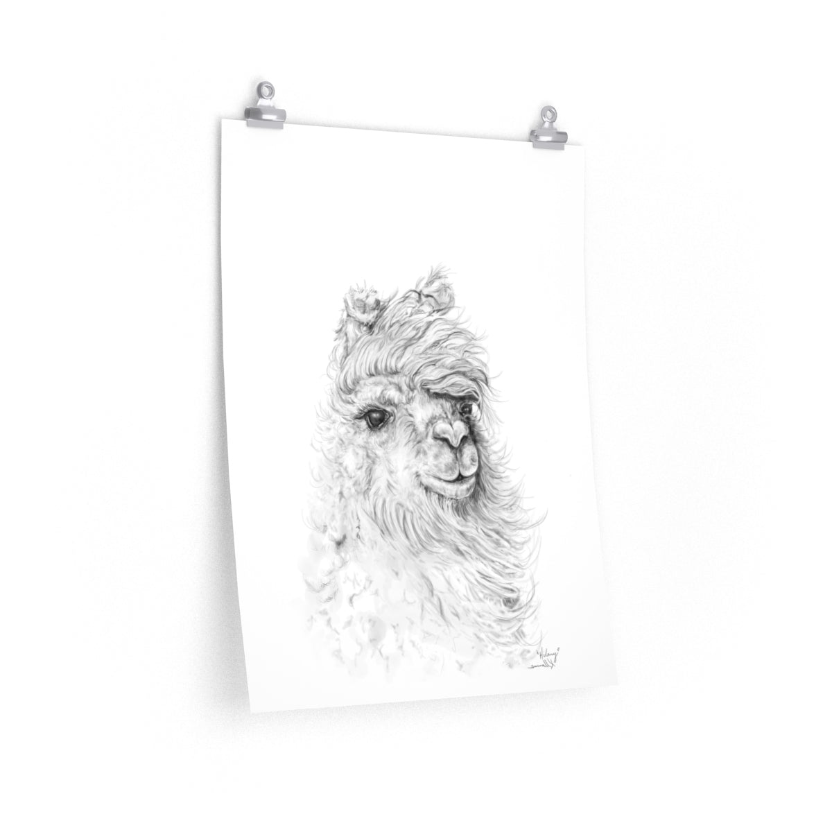 HILARY Llama- Art Paper Print
