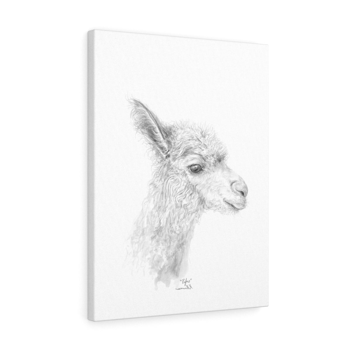 RUFUS Llama - Art Canvas