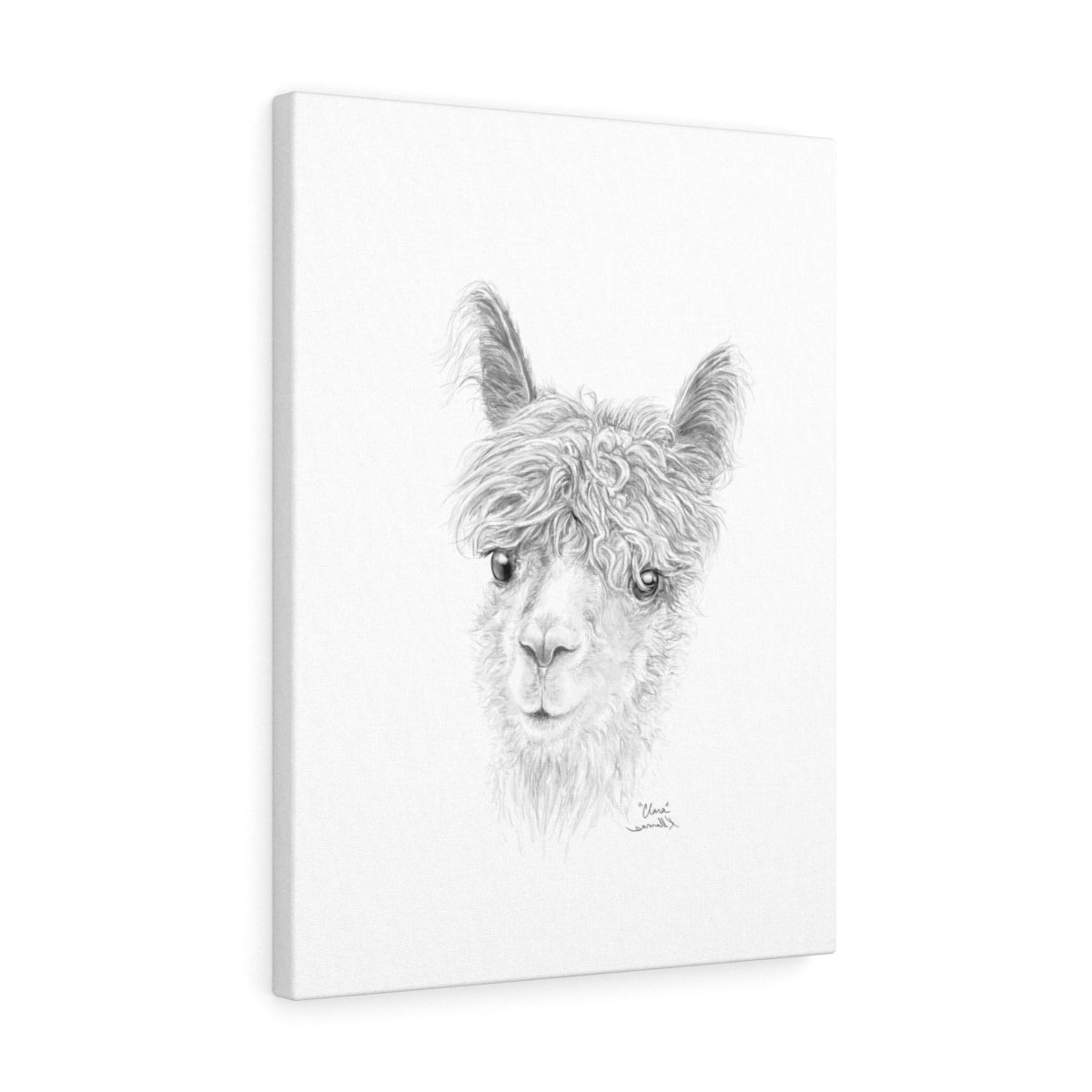 CLARA Llama - Art Canvas