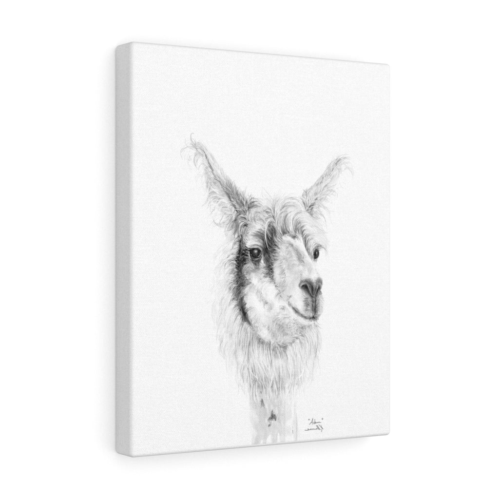 ADAM Llama - Art Canvas