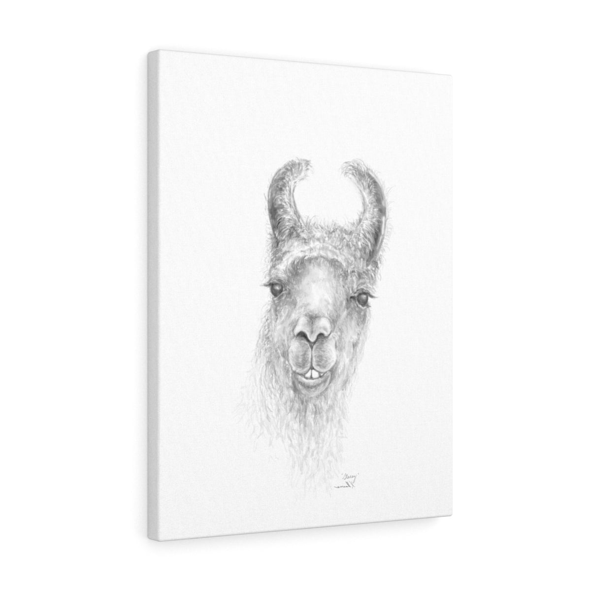 STACEY Llama - Art Canvas