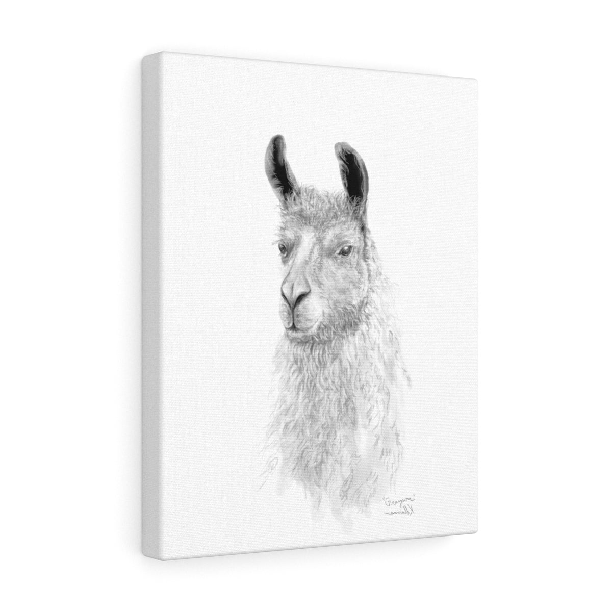 GRAYSON Llama - Art Canvas