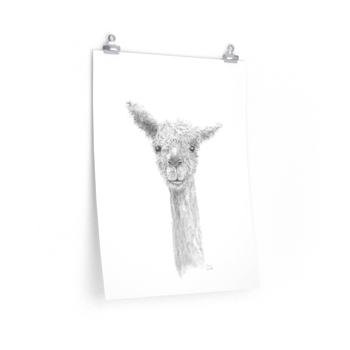 OWEN Llama- Art Paper Print
