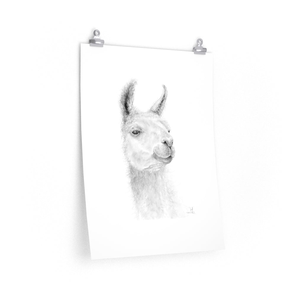JEFF Llama- Art Paper Print