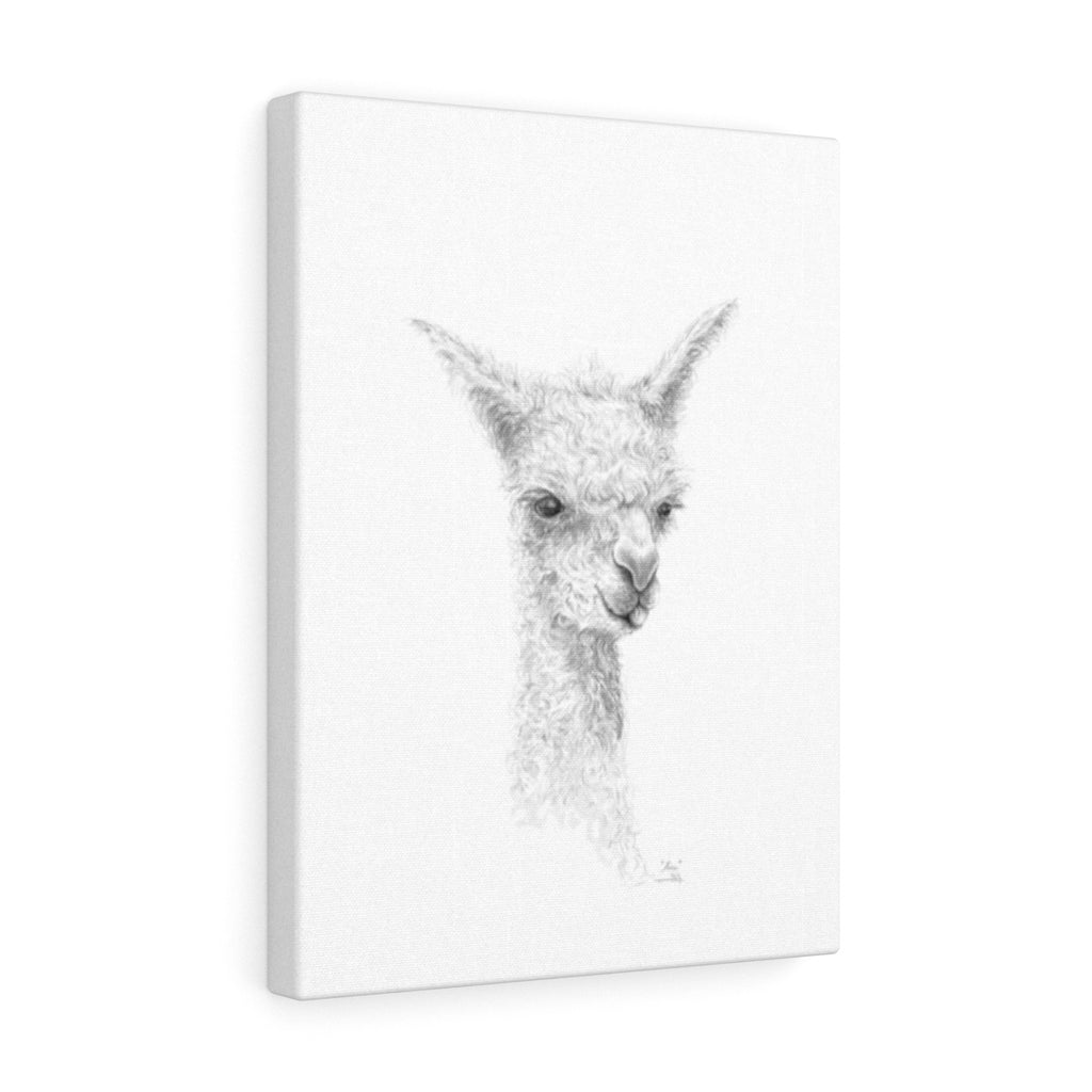 ALICE Llama - Art Canvas