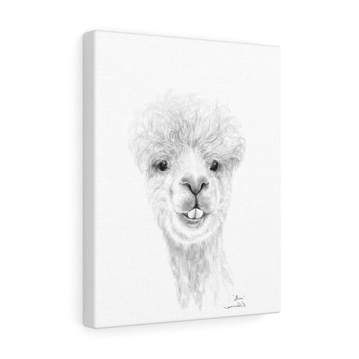 SHAN Llama - Art Canvas