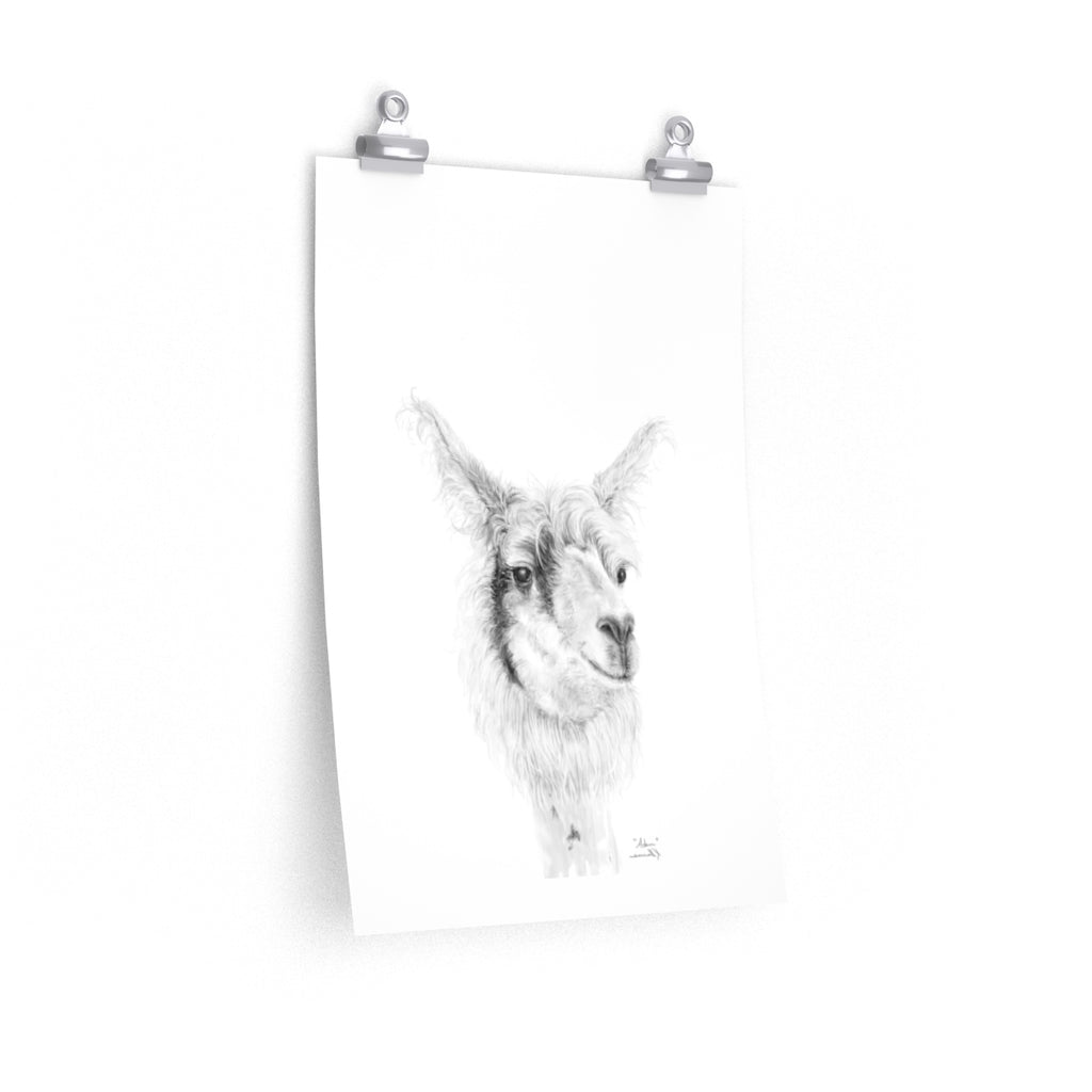 ADAM Llama- Art Paper Print