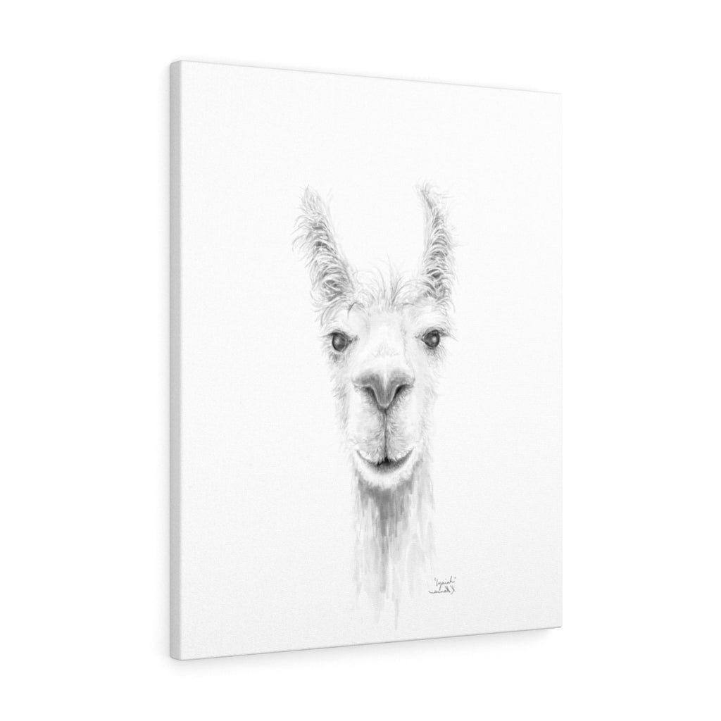IZAIAH Llama - Art Canvas