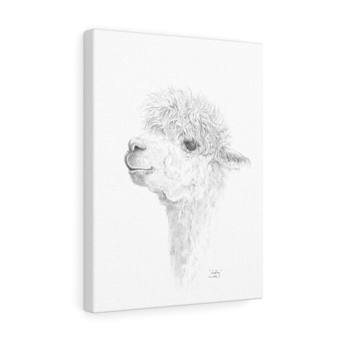 HADLEY Llama - Art Canvas