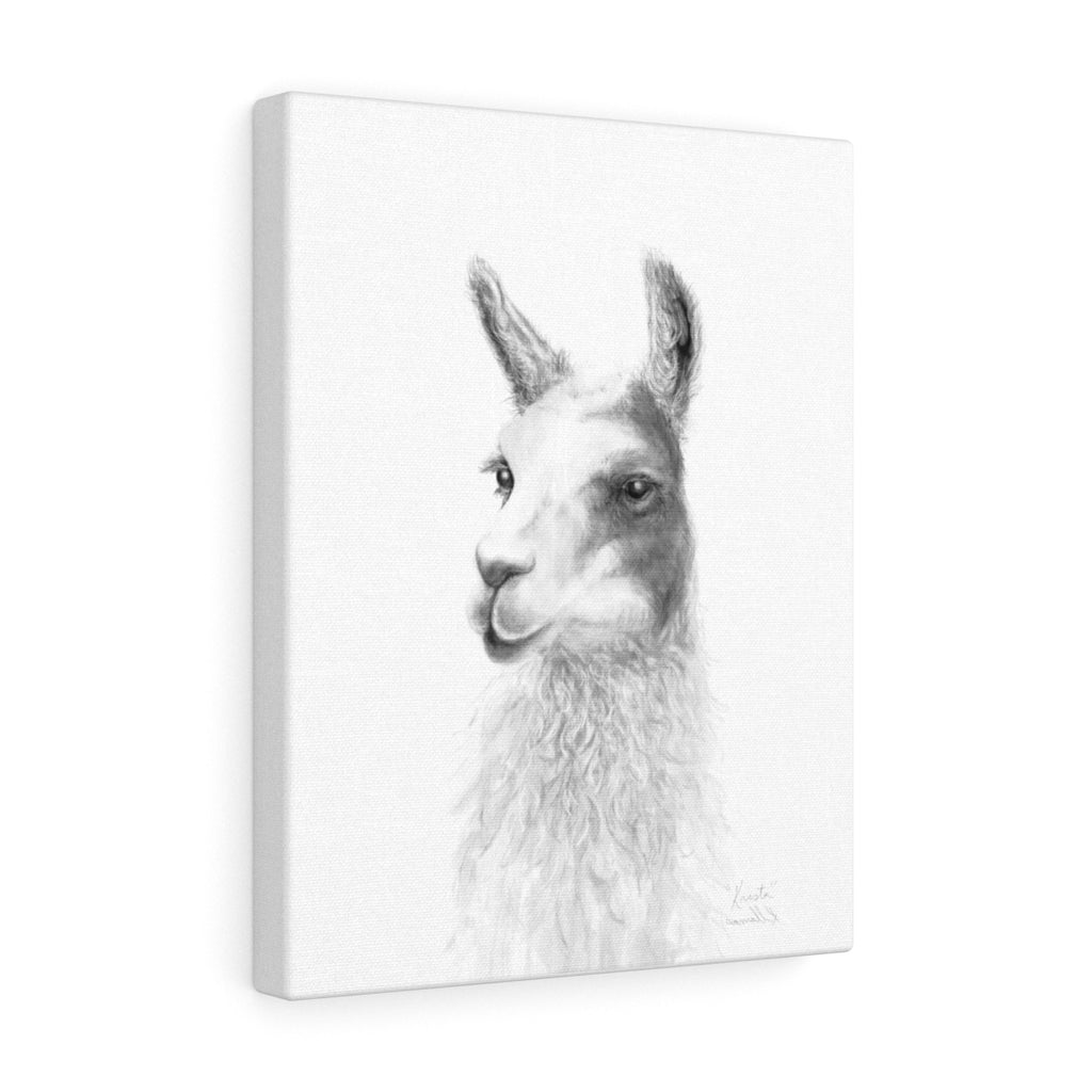 KRISTA Llama - Art Canvas
