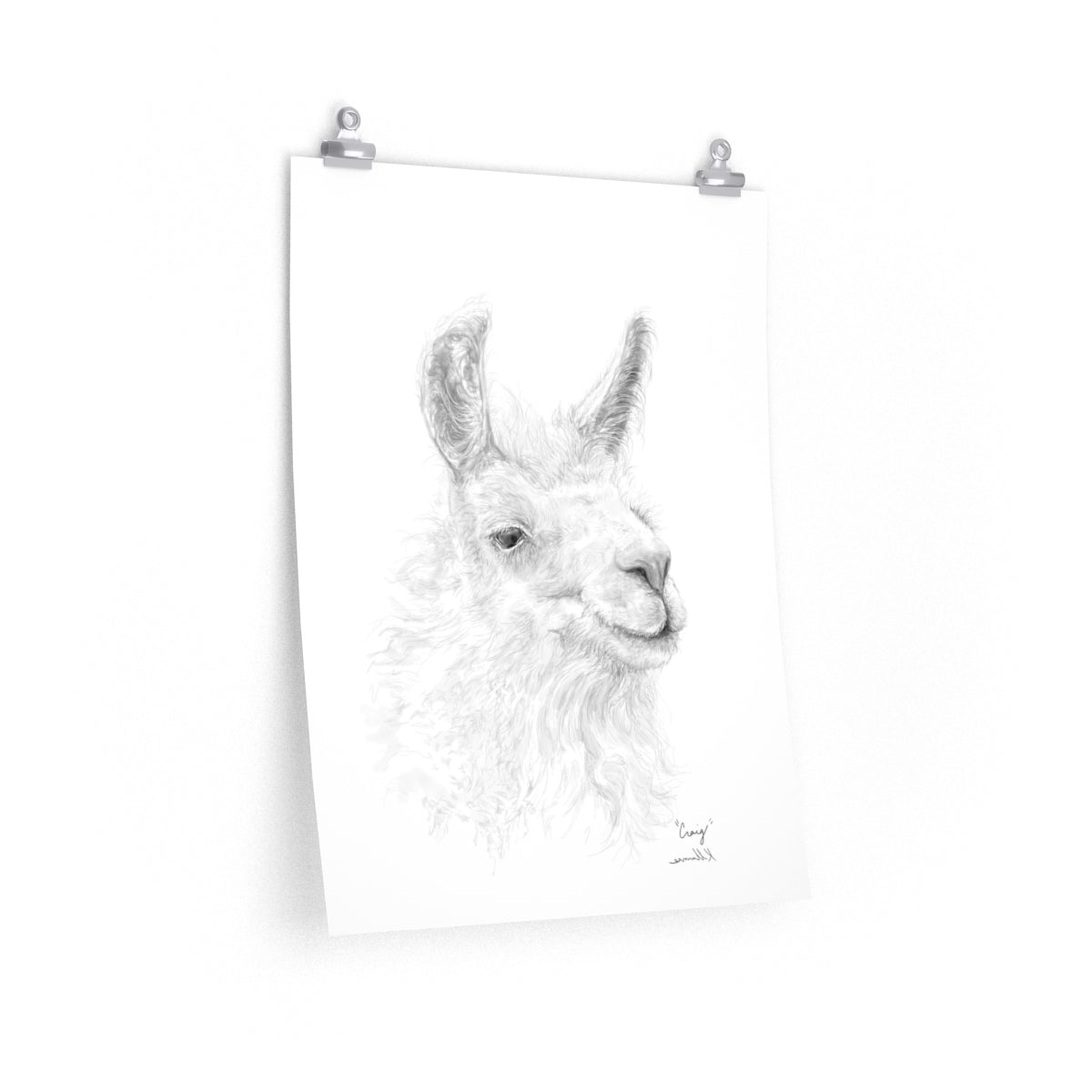 CRAIG Llama- Art Paper Print
