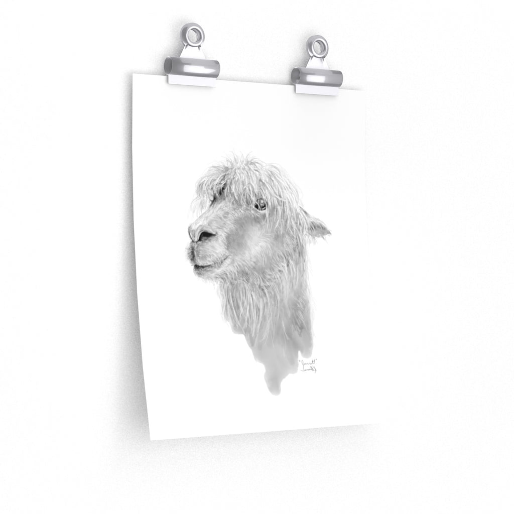 JARRETT Llama- Art Paper Print
