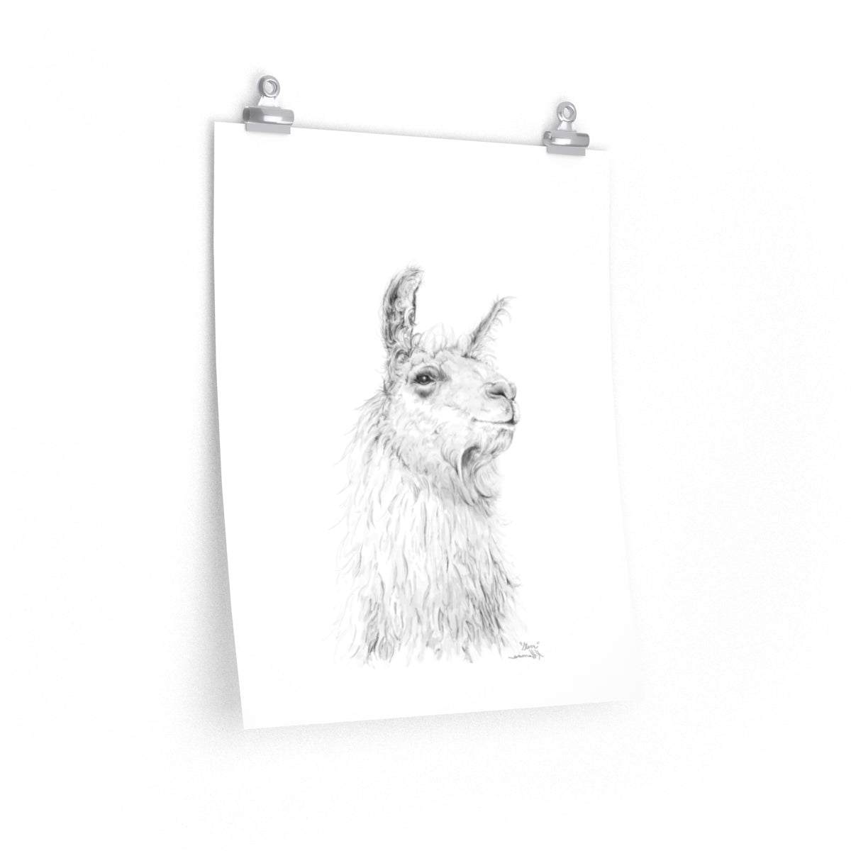 STEVE Llama- Art Paper Print
